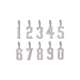 Elizabethan Diamond and Platinum Number Pendant
